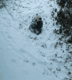 strangebreadofdoom:  This gif is actually really useful: -When your OTP is way to