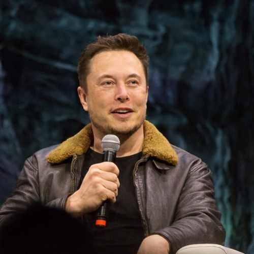 elonmuskfans:Elon musk.
