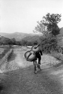 oblio24:  A musician on a bicycle on the