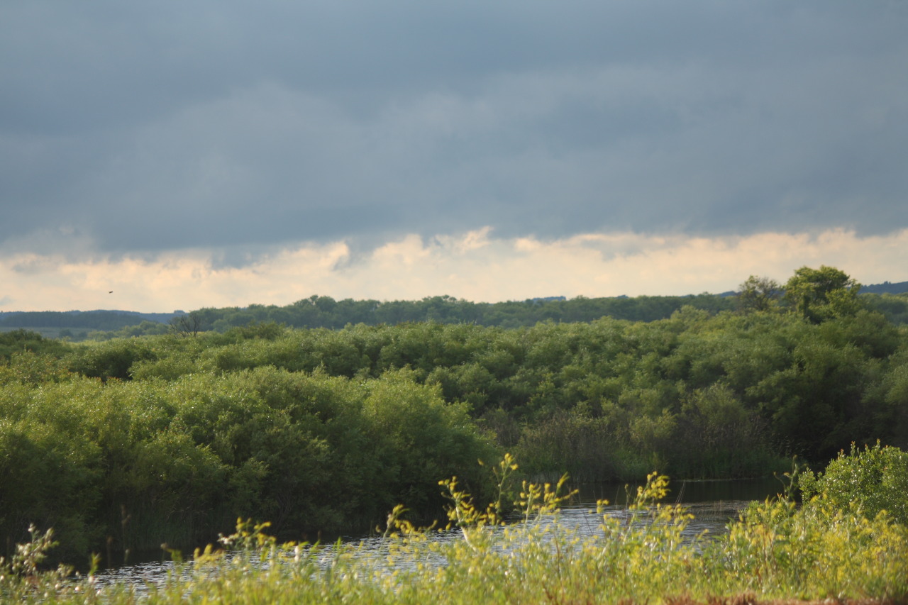 mouzeron:  in the summer manitoba looks like a painting