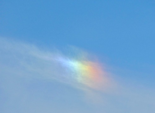 Sundog.It was over my house when I got home from the lake.