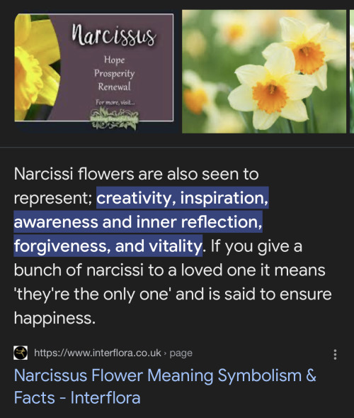 Narcissa Is Also A Flower And This Is The Meaning Behind The Flower & Name
