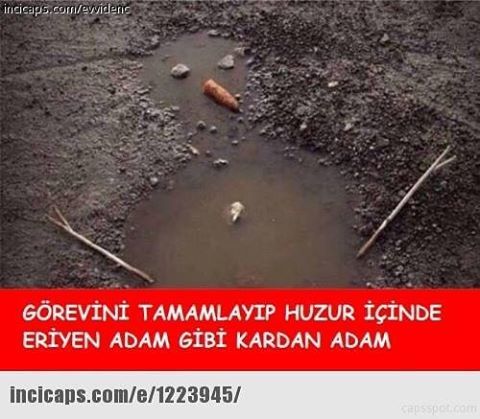 GÖREVİNİ TAMAMLAYIP HUZUR...