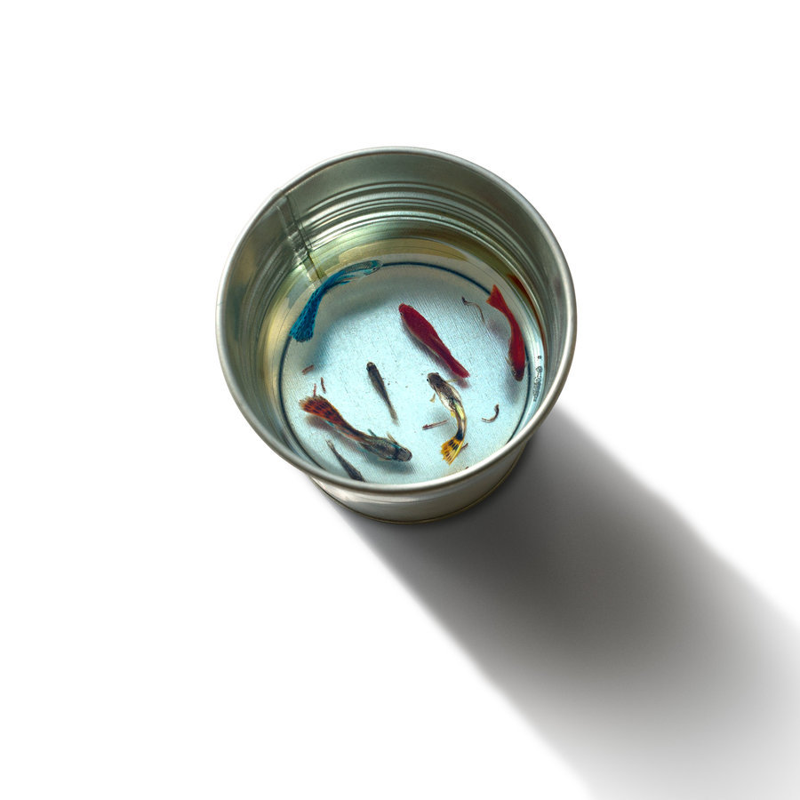 paintvrlife:  by kenglye  please do not remove credit.