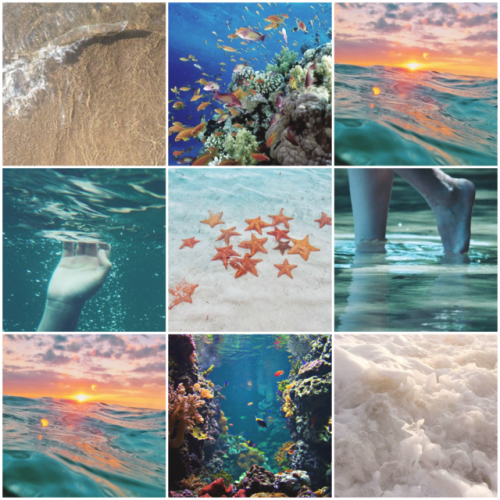 kintype-aesthetic: Oceankin aesthetic suggested by anon! x x x | x x x 