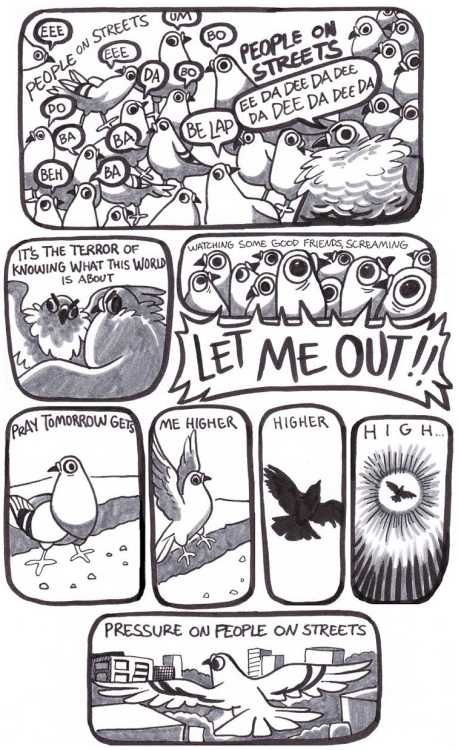 pigeoncomics:  Pigeon Comic 44 - Under Pressure Stay coo’, pigeon army.