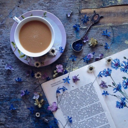 aestheticweirdos:  Hogwarts Houses + Halloween Moodboards:Ravenclaw