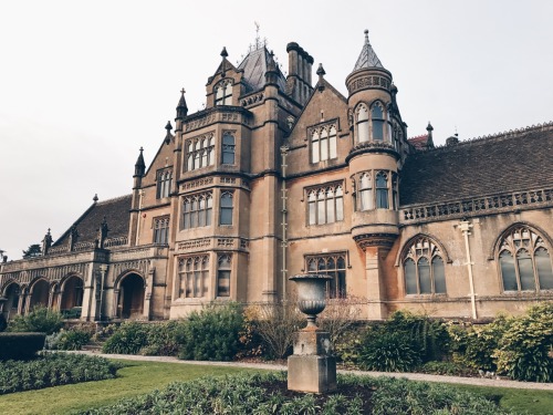 travels-ofadreamer: Wintery sunsets, Tyntesfield