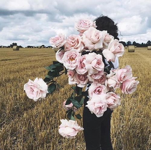 https://www.instagram.com/c__l__o