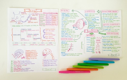 attempting-studying:  4.19. 2015 Making all of these study sheets doesn’t even feel like studying to me! I’ve actually started to look forward to adding all the colors and fonts and lines to my blank sheets of paper. ((The paper-mate flair pens are