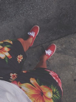 skaterparadise:  Need these shorts 😍