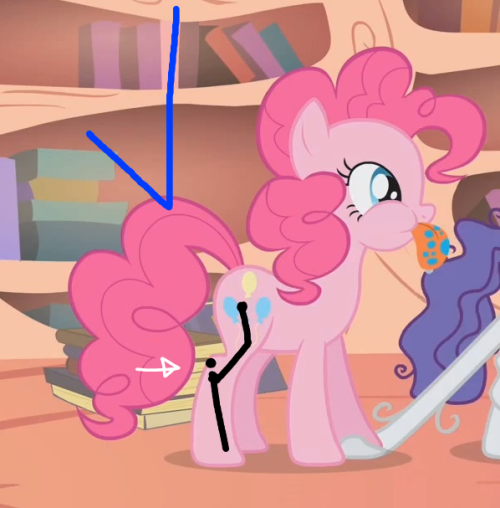 autumnbramble:  autumnbramble:  autumnbramble:  I see a lot of “How to draw Ponies” guides that align the gaskin parallel to the ground because they don’t understand what the creators of the show are actually doing with horse anatomy If you watch