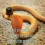 la-cobra-gay-69