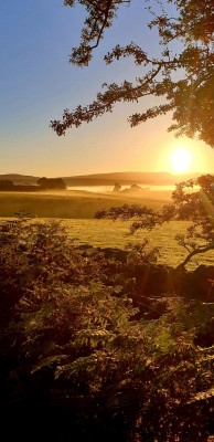 strawberryjayne:Morning Glow 🍁🍂