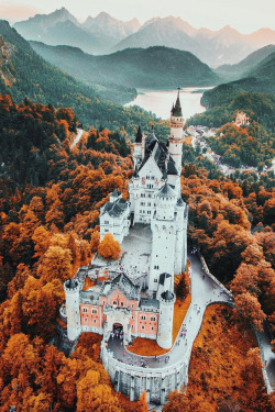 banshy: Neuschwanstein Castle by Jacob Riglin