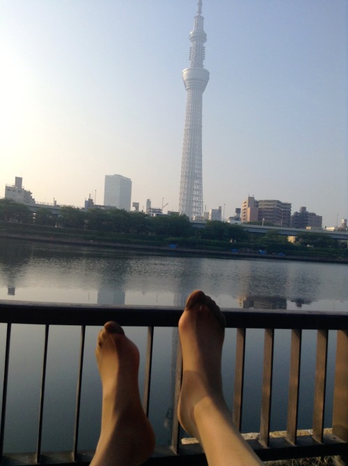 隅田川沿いをパンスト散歩。とても気持ちのいい日差し。それが光沢パンストにあたり、とても素晴らしい光沢感がでる。いい写真が撮れた。どうせならとパンスト越しのスカイツリーを撮る。これがなかなか難しい。散歩
