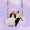 falliamnation:an important gifset.