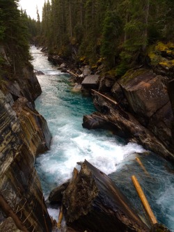 mill24-ph:Down Stream: Numa Falls, British Columbia, Canada