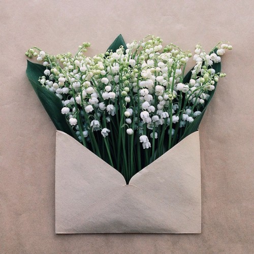 ladyinterior: Vibrant Flowers Delicately Complement Naturally-Toned Vintage Paper Envelopes, An