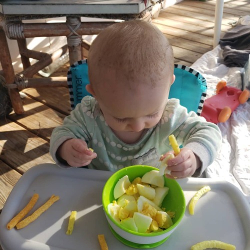 Hard boiled eggs and Veggie straws for breakfast (at Carrabelle, Florida)https://www.instagram.com/p