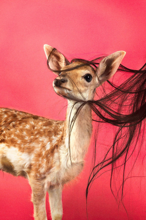 Ryan McGinley (American, b. 1977, Ramsey, NJ, USA) - 1: Fawn (Fuchsia), 2012  2: Serval, 2011  3: Ho