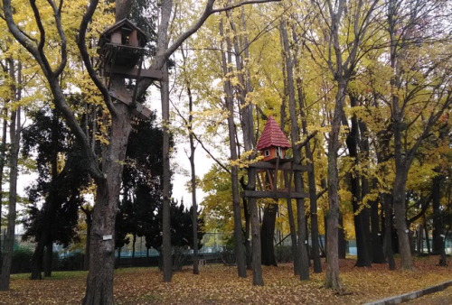 メルヘンの世界観？ かな。今まで、普通に散歩してたから、気づきませんでした。こんな鳥小屋があったなんて。やっぱり、顔をあげて歩かんと、アカんね。（笑）#メルヘン　#鳥小屋　#Fairytale　#Av