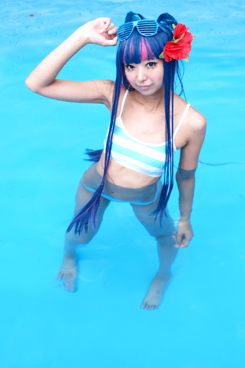 Panty and Stocking with Garterbelt - Stocking Anarchy (Necoco) 36HELP US GROW Like,Comment & Share.CosplayJapaneseGirls1.5 - www.facebook.com/CosplayJapaneseGirls1.5CosplayJapaneseGirls2 - www.facebook.com/CosplayJapaneseGirl2tumblr - http://cosplayja