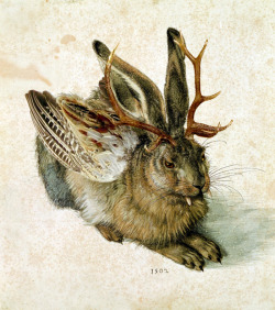 huntergonerogue:  sardren:  Wolpertinger, one of the awesomest creatures in folklore. (pic taken from wikipedia. More information there,  THIS IS APPROPRIATE WITH BREWFEST!!! 