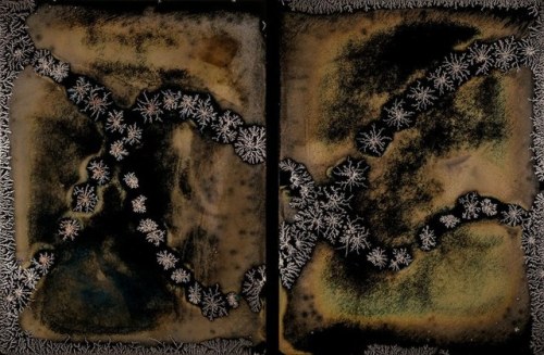 In his photo series “My DNA,” the Japanese-American artist Michael Koerner confronts the effects of 