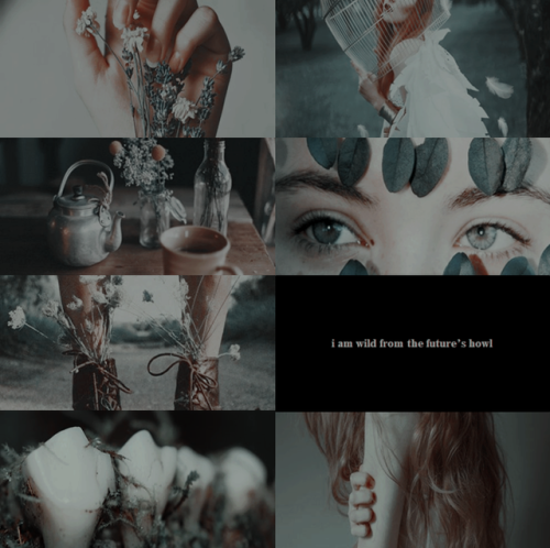 @modernmythsnet | event nine | elements | moral↳ witches + earth“maybe i am made of a wild, quiet th