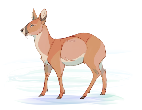 Deer Character DesignCharacter Design | Creature Design | Patreon | Ko-fi