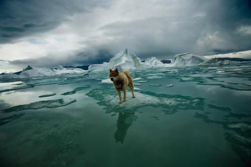 nubbsgalore:  destination desolation. photos by sebastian copeland, who travels the earth’s polar regions - even crossing antarctica by kite in eighty one days - to document a landscape he sees as both the front lines in the battle against climate