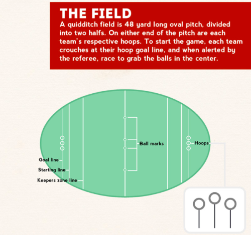 themunchkym: Here is a handy guide on how quidditch works! (x)