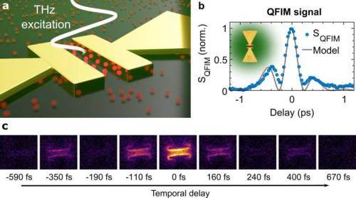 Ultrafast imaging of terahertz electric waveforms using quantum dotsMicroscopic electric fields gove