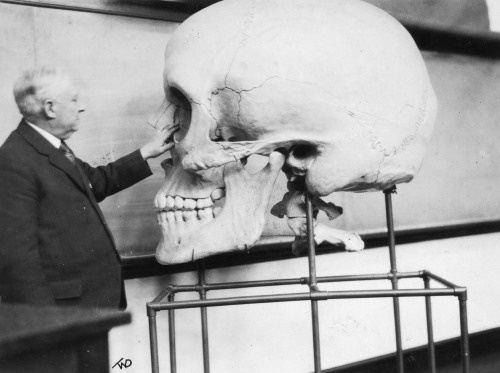 pipistrellus:assbaka:deathandmysticism:Anatomist Harris Mosher with a teaching skull, ca. 1929the te