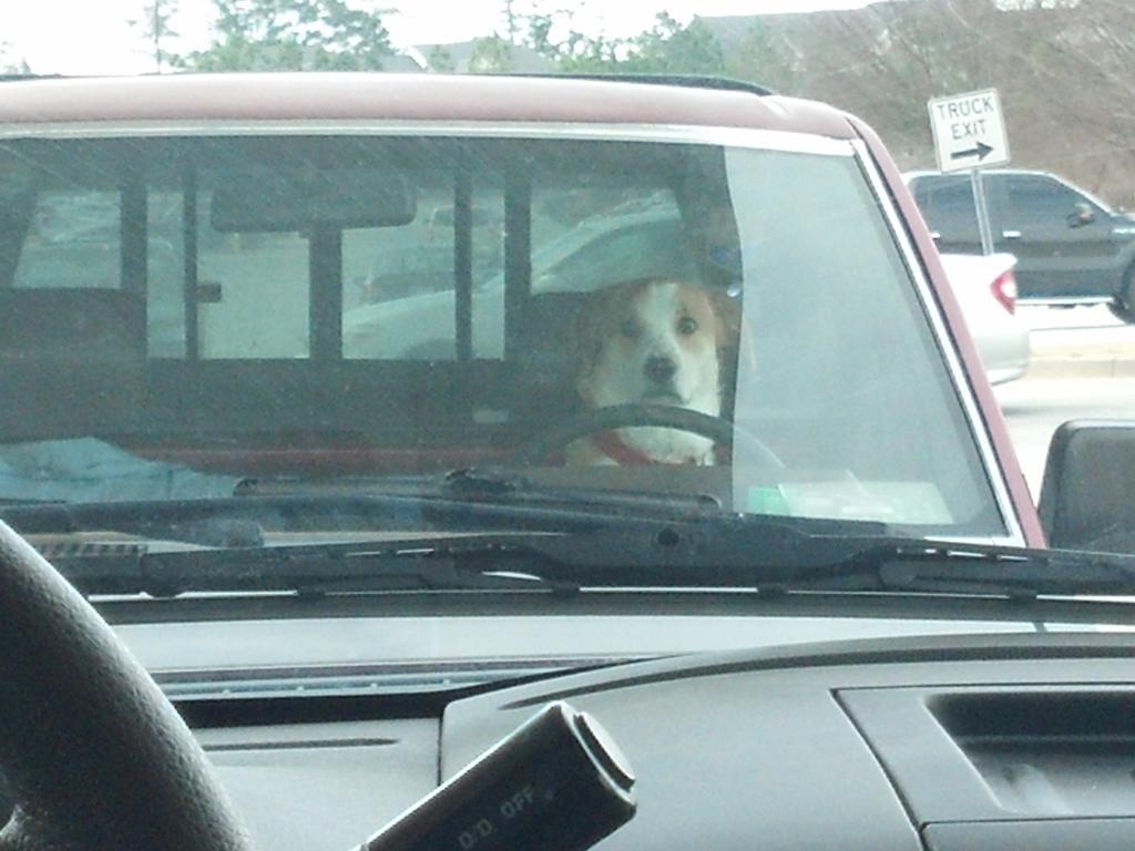 asian:  Son  keeps staring at me while I pump gas 