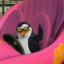 mangointhesky