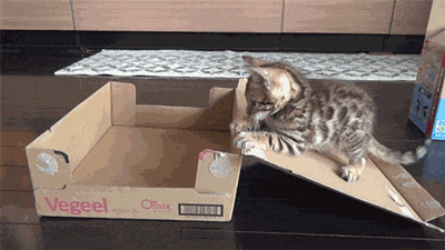 Tastefully Offensive GIFs