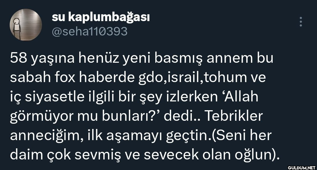 TO su kaplumbağası...