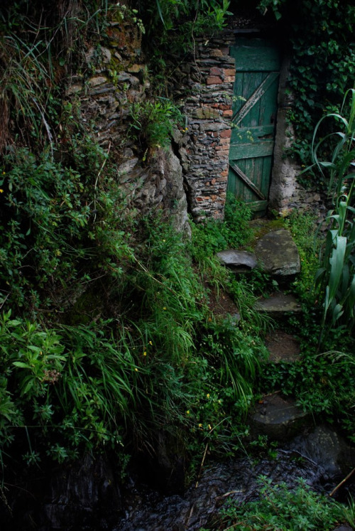 Hidden Garden - Cinque Terra, Italy (by vish23)