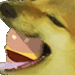 bumbledeefumble:quincunx:calypsojam:calypsojam:borgor eatWHy ARE Y'ALL GIVING THIS