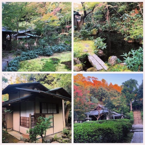 ＼おにわさん更新情報／ ‪[ 京都市東山区 ] 泉涌寺 来迎院庭園「含翠庭」 Sennyu-ji Temple Raigo-in Garden, Kyoto の写真・記事を更新しました。 ーー #空海