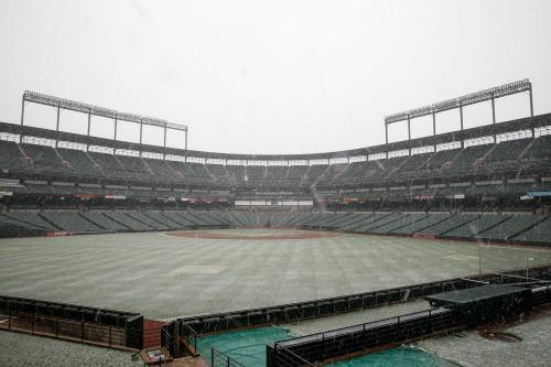 Snow falling at Oriole Park 