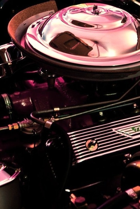 1956 Ford Thunderbird Engine Bay