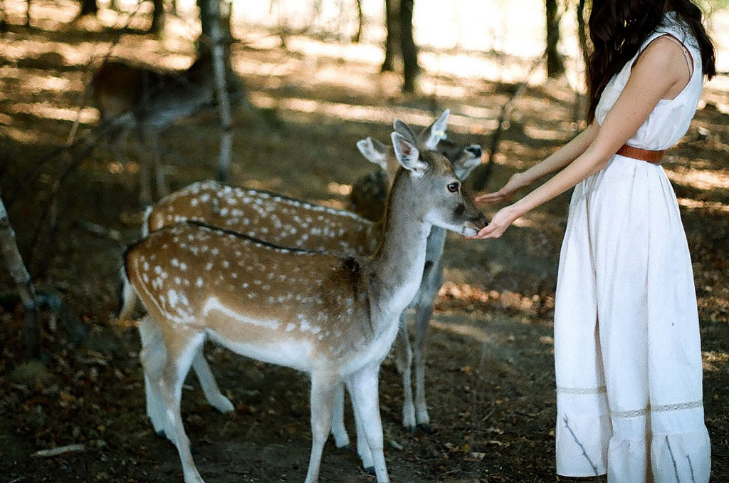 conducives:  autumn feelings (by whimsical jane)