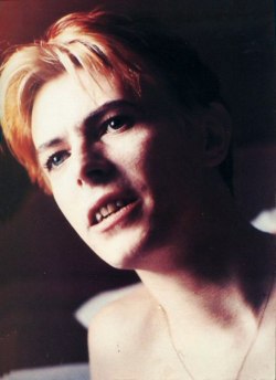 laudanumandabsinthe: majortomzin: David Bowie