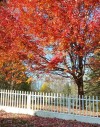 Autumn in Upstate New York, Sunday drives. 