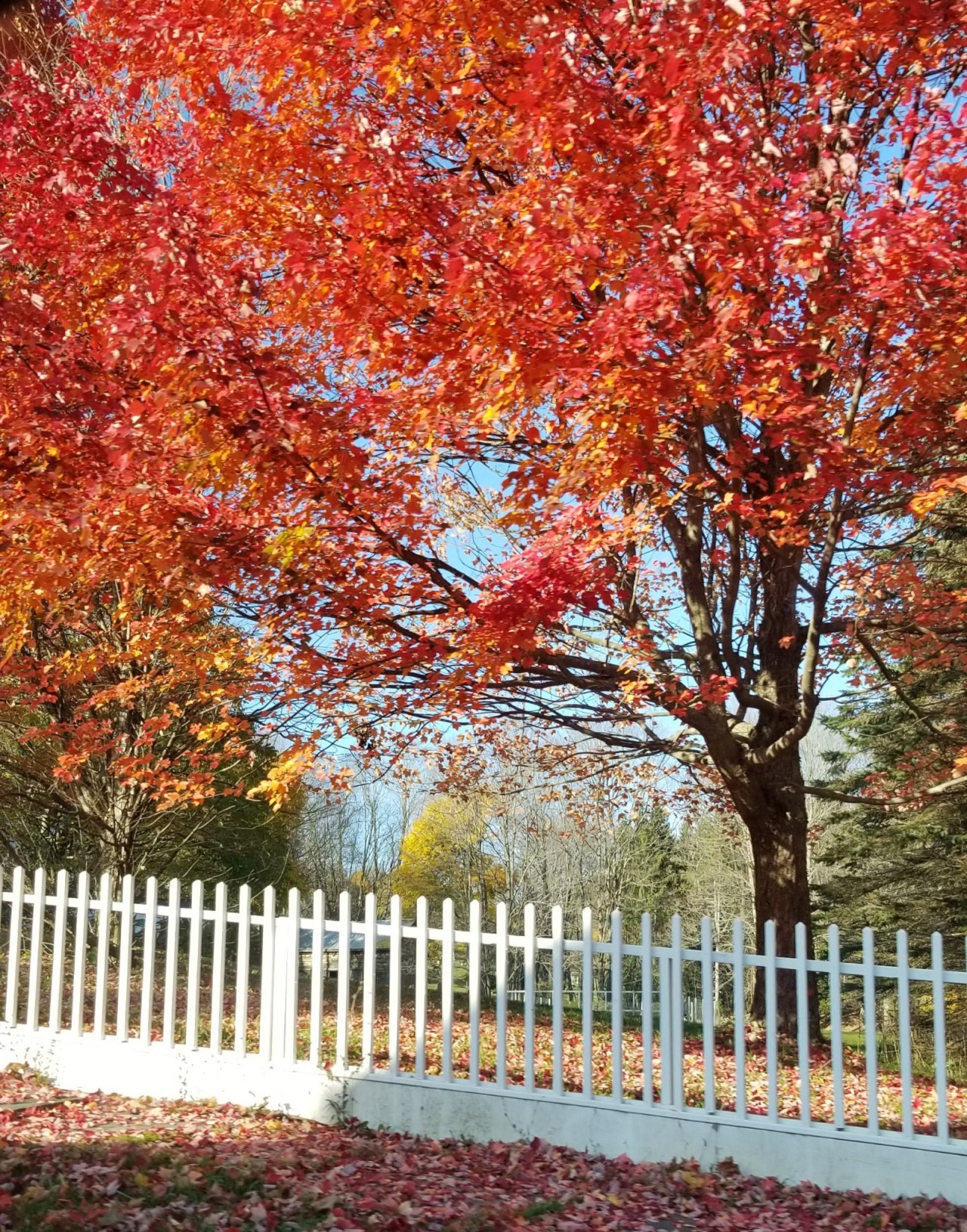 Porn Pics Autumn in Upstate New York, Sunday drives.