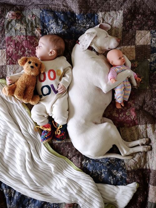 WARNING: CUTENESS OVERLOAD!Nora the rescue puppy loves napping with her baby brother ❤️