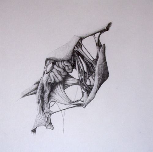 jennifersmithart - Visera Fiction I, II, III, 2014Pen on...